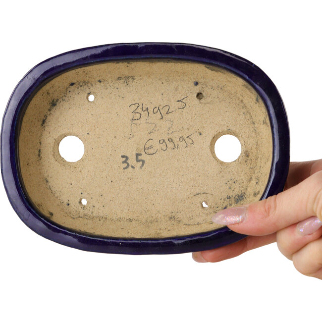 Oval dark blue bonsai pot by Hattori - 159 x 116 x 37 mm