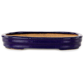  Hattori Tomoyuki 159 mm oval dark blue bonsai pot by Hattori, Tokoname, Japan