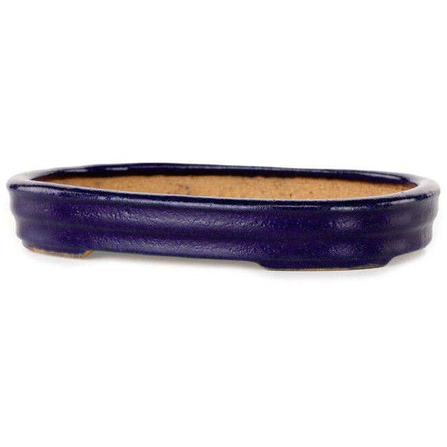 Pot à bonsaï ovale bleu foncé de Hattori - 159 x 115 x 24 mm