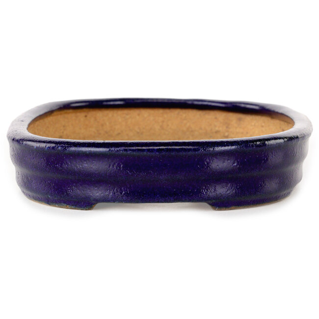 Oval dark blue bonsai pot by Hattori - 159 x 115 x 24 mm