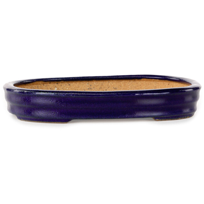 Oval dark blue bonsai pot by Hattori - 159 x 115 x 24 mm