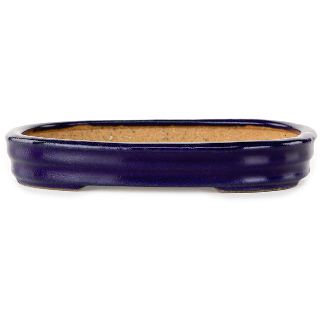 Ovaler, dunkelblauer Bonsai-Topf von Hattori – 159 x 115 x 24 mm