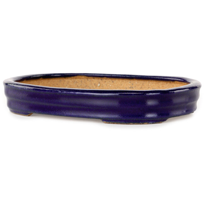 Maceta ovalada para bonsái azul oscuro de Hattori - 159 x 115 x 24 mm