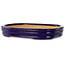 Oval dark blue bonsai pot by Hattori - 159 x 115 x 24 mm