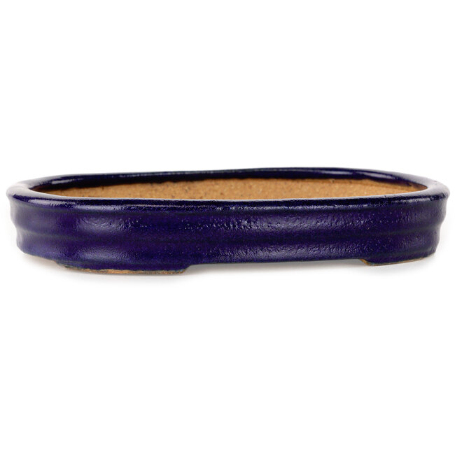 Ovaler, dunkelblauer Bonsai-Topf von Hattori – 159 x 115 x 24 mm