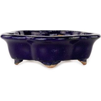  Hattori Tomoyuki 112 mm flower-shaped dark blue bonsai pot by Hattori, Tokoname, Japan