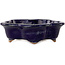 Flower-shaped dark blue bonsai pot by Hattori - 112 x 112 x 35 mm