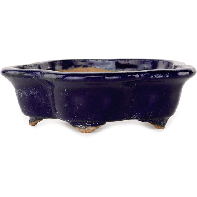 Pot à bonsaï bleu foncé en forme de fleur, par Hattori - 112 x 112 x 35 mm