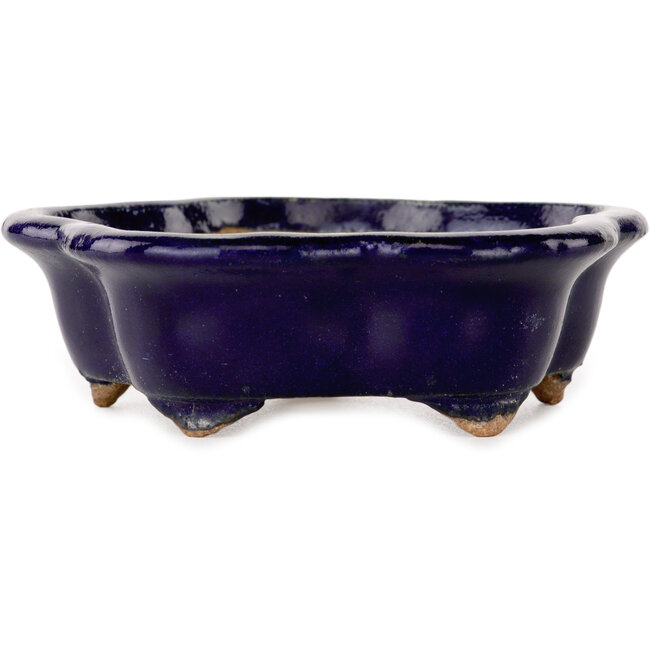 Maceta para bonsái azul oscuro con forma de flor de Hattori - 112 x 112 x 35 mm