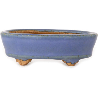  Hattori Tomoyuki Pot à bonsaï ovale bleu clair de 95 mm, par Hattori, Tokoname, Japon