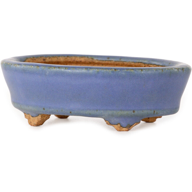 Vaso bonsai ovale azzurro chiaro di Hattori - 95 x 72 x 32 mm