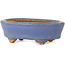 Ovale lichtblauwe bonsaipot van Hattori - 95 x 72 x 32 mm