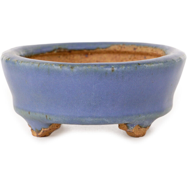 Vaso bonsai ovale azzurro chiaro di Hattori - 95 x 72 x 32 mm