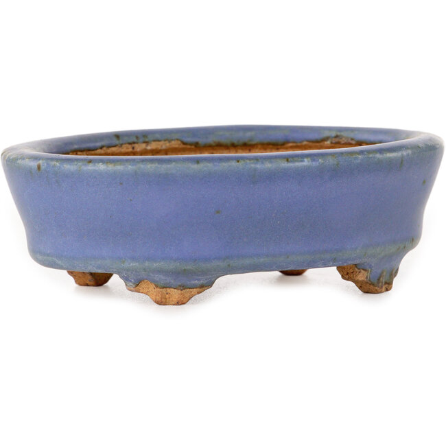 Ovaler, hellblauer Bonsai-Topf von Hattori – 95 x 72 x 32 mm