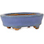 Oval light blue bonsai pot by Hattori - 95 x 72 x 32 mm