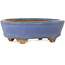 Pot à bonsaï ovale bleu clair de Hattori - 95 x 72 x 32 mm