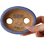Ovaler, hellblauer Bonsai-Topf von Hattori – 95 x 72 x 32 mm