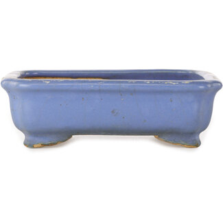  Hattori Tomoyuki 148 mm rectangular light blue bonsai pot by Hattori, Tokoname, Japan