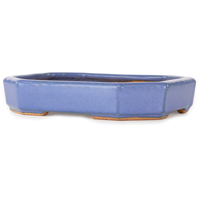 Oval light blue bonsai pot by Hattori - 189 x 143 x 35 mm