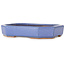 Ovale lichtblauwe bonsaipot van Hattori - 189 x 143 x 35 mm