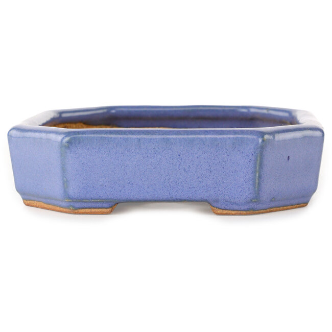 Maceta ovalada para bonsái azul claro de Hattori - 189 x 143 x 35 mm