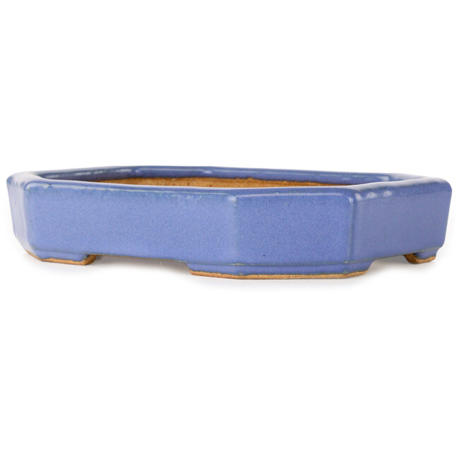 Ovaler, hellblauer Bonsai-Topf von Hattori – 189 x 143 x 35 mm