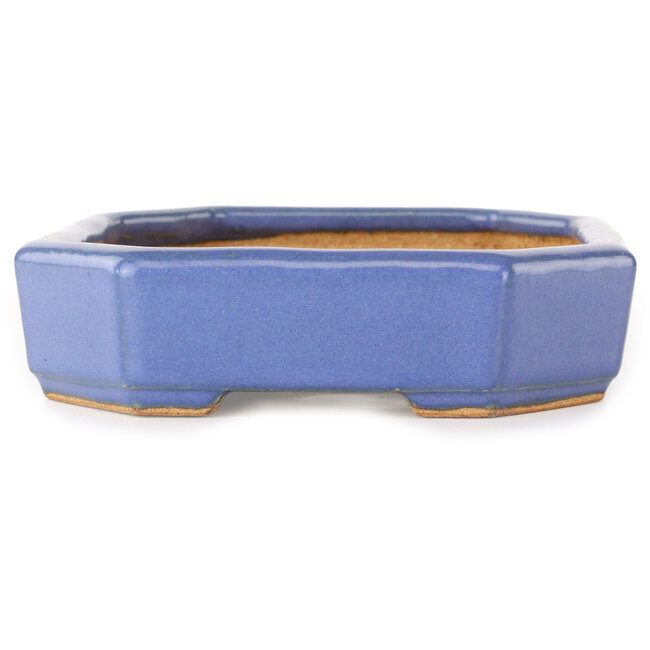 Oval light blue bonsai pot by Hattori - 189 x 143 x 35 mm
