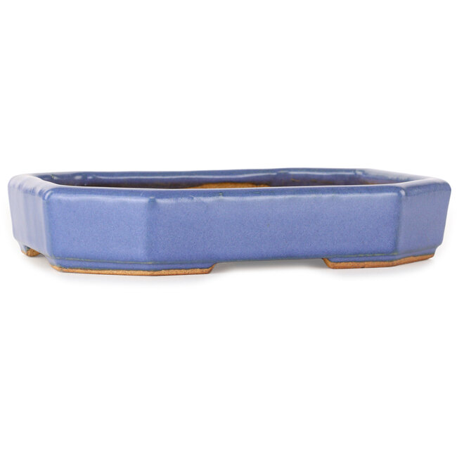 Maceta ovalada para bonsái azul claro de Hattori - 189 x 143 x 35 mm