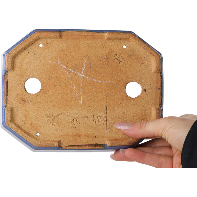 Ovale lichtblauwe bonsaipot van Hattori - 189 x 143 x 35 mm