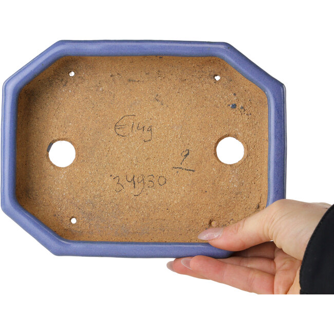 Maceta ovalada para bonsái azul claro de Hattori - 189 x 143 x 35 mm