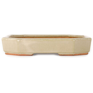  Hattori Tomoyuki 189 mm oval off-white bonsai pot by Hattori, Tokoname, Japan