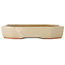 Ovale, gebroken witte bonsaipot van Hattori - 189 x 143 x 35 mm