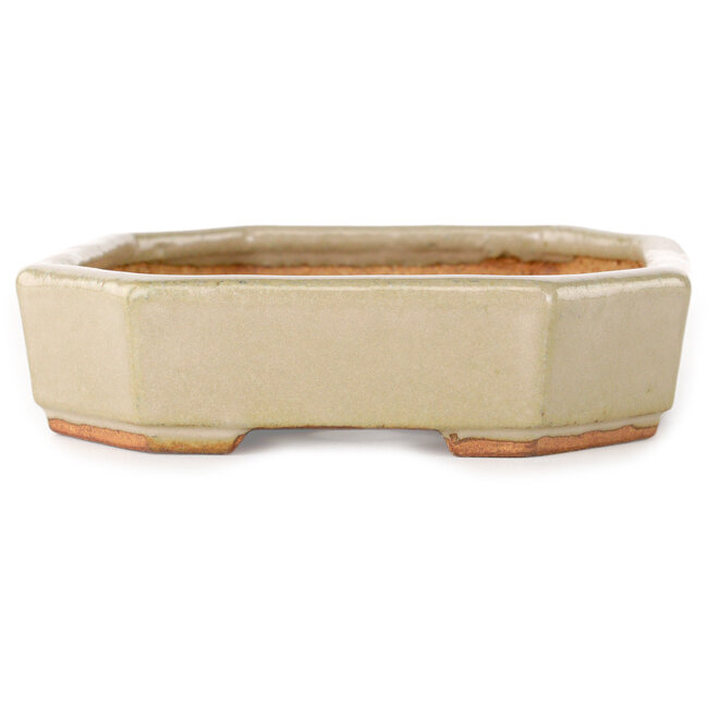 Vaso bonsai ovale bianco sporco di Hattori - 189 x 143 x 35 mm