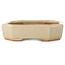 Oval off-white bonsai pot by Hattori - 189 x 143 x 35 mm