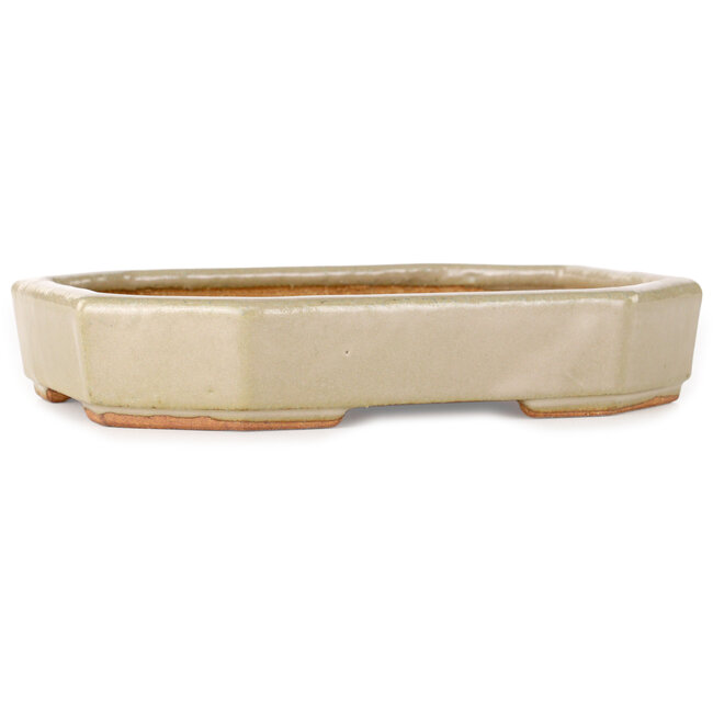 Oval off-white bonsai pot by Hattori - 189 x 143 x 35 mm