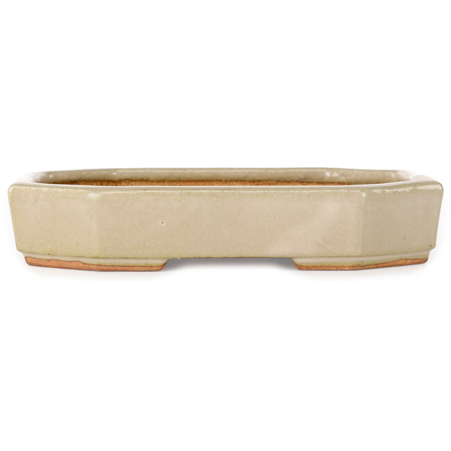 Oval off-white bonsai pot by Hattori - 189 x 143 x 35 mm