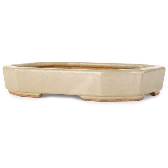 Pot à bonsaï ovale blanc cassé de Hattori - 189 x 143 x 35 mm