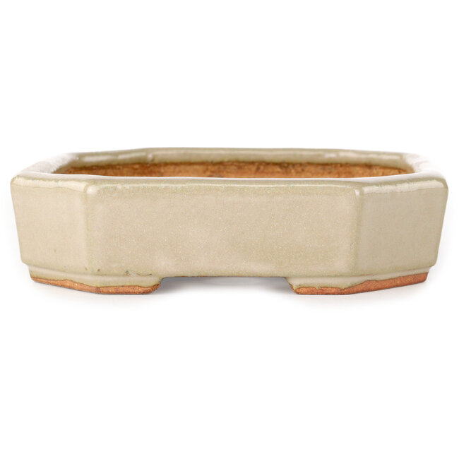Oval off-white bonsai pot by Hattori - 189 x 143 x 35 mm