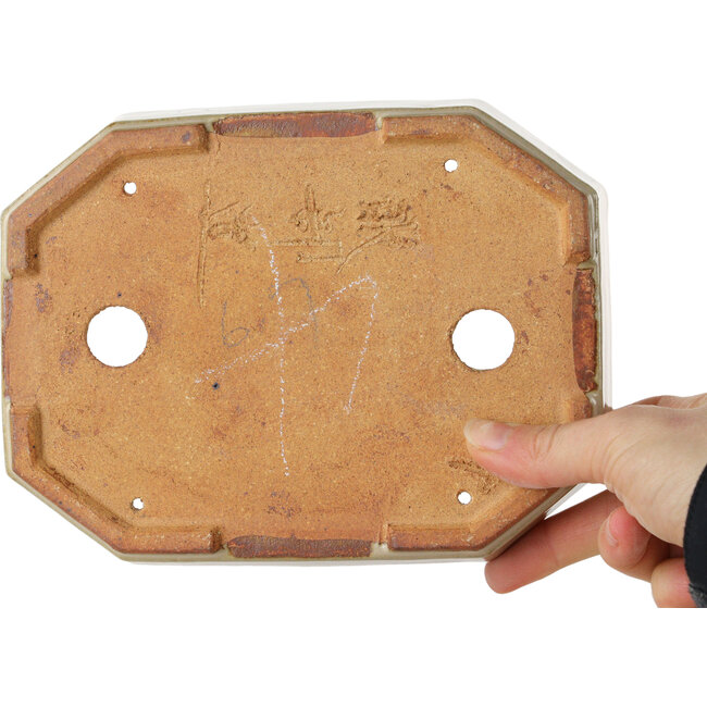 Ovale, gebroken witte bonsaipot van Hattori - 189 x 143 x 35 mm