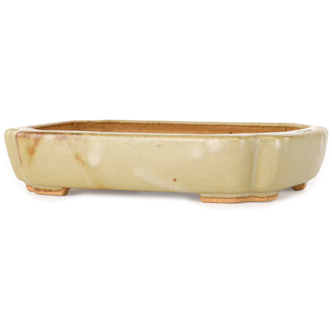 Ovale, gebroken witte bonsaipot van Hattori - 162 x 116 x 35 mm