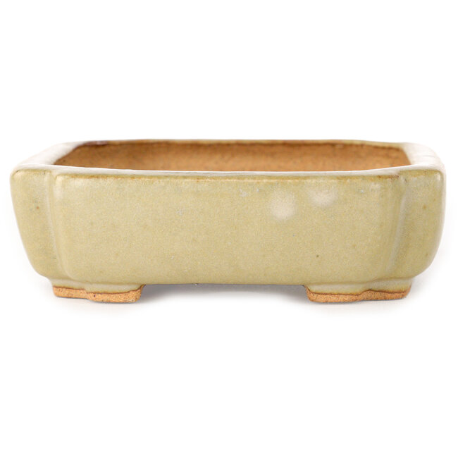 Ovaler, cremefarbener Bonsai-Topf von Hattori – 162 x 116 x 35 mm