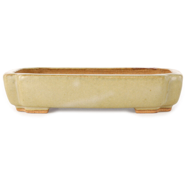 Ovaler, cremefarbener Bonsai-Topf von Hattori – 162 x 116 x 35 mm