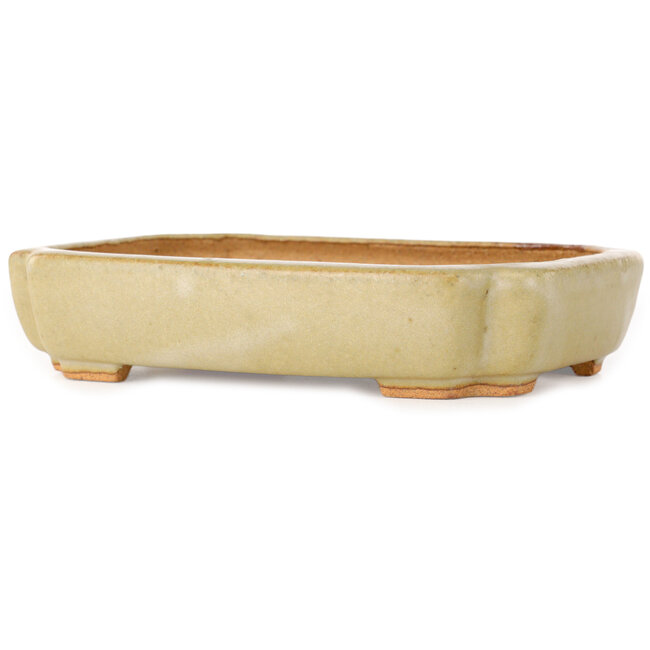 Pot à bonsaï ovale blanc cassé de Hattori - 162 x 116 x 35 mm