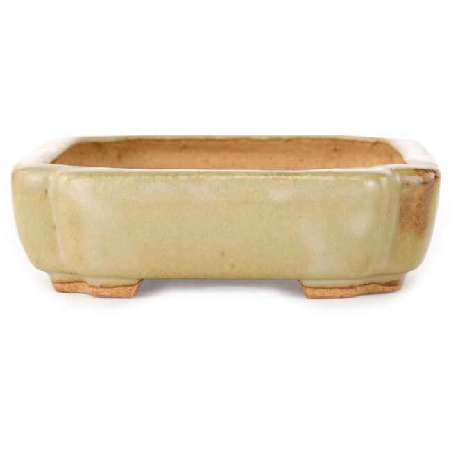 Ovaler, cremefarbener Bonsai-Topf von Hattori – 162 x 116 x 35 mm