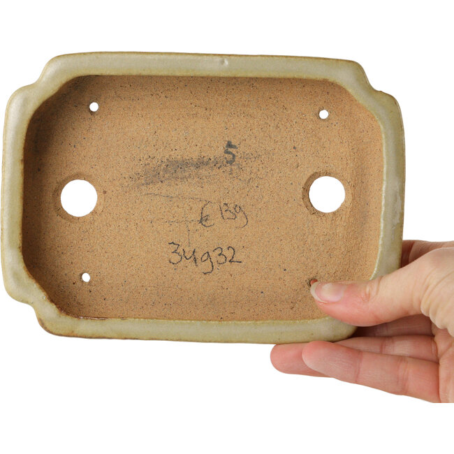 Ovaler, cremefarbener Bonsai-Topf von Hattori – 162 x 116 x 35 mm