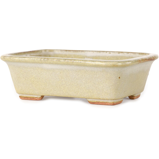 Maceta rectangular para bonsái de color blanco roto de Hattori - 133 x 100 x 43 mm