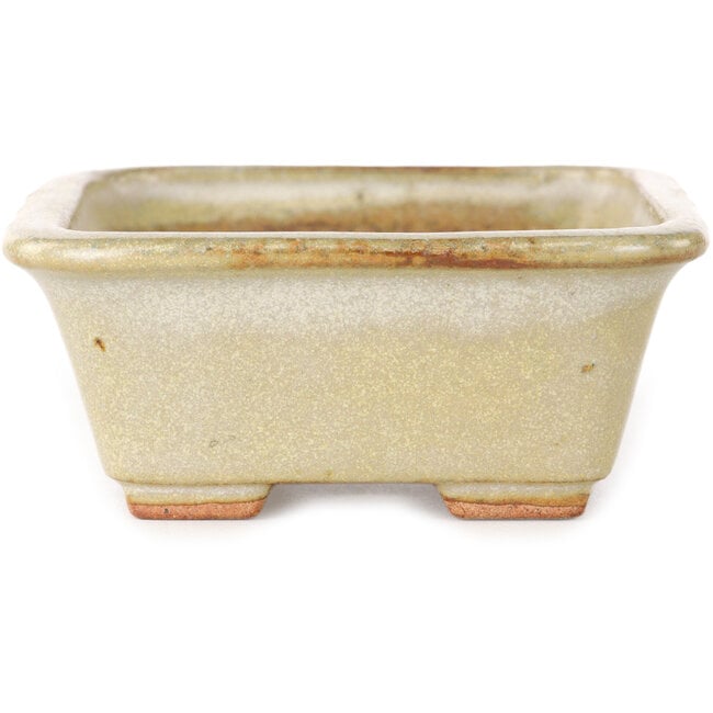 Pot à bonsaï rectangulaire blanc cassé de Hattori - 133 x 100 x 43 mm