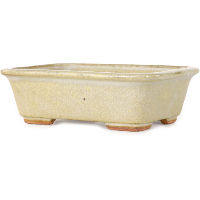 Rectangular off-white bonsai pot by Hattori - 133 x 100 x 43 mm