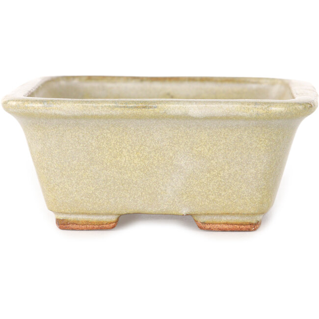Rectangular off-white bonsai pot by Hattori - 133 x 100 x 43 mm