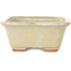 Maceta rectangular para bonsái de color blanco roto de Hattori - 133 x 100 x 43 mm